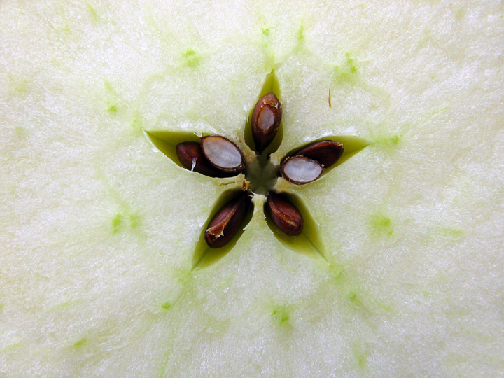 Apple Star