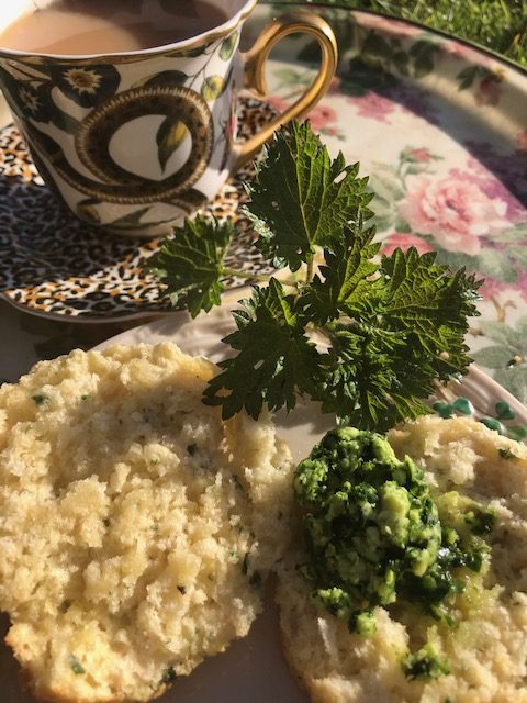 Nettle scones