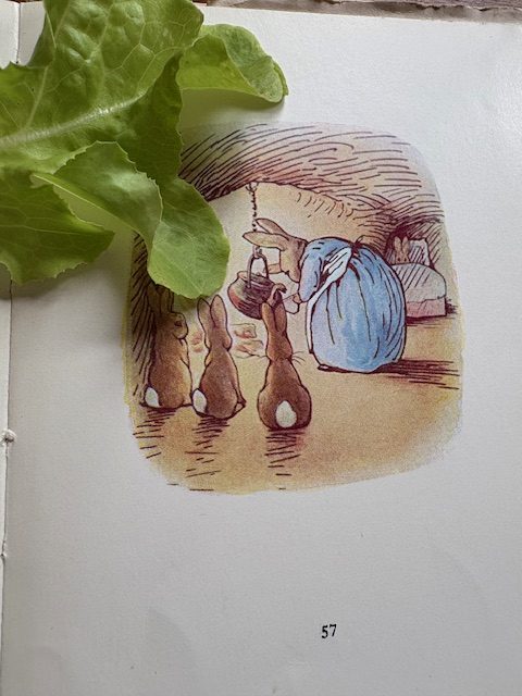 Mrs Rabbit pouring out the tea for Peter